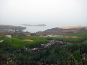 Norton Island evening fog