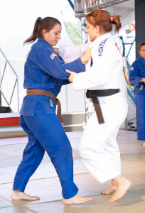 Nikkei Rio Expo - Apresentações de artes marciais