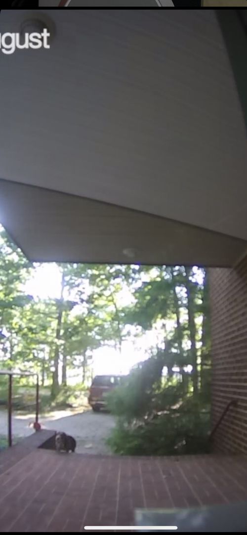 august_home_doorbell_cam_pro_actual_pic