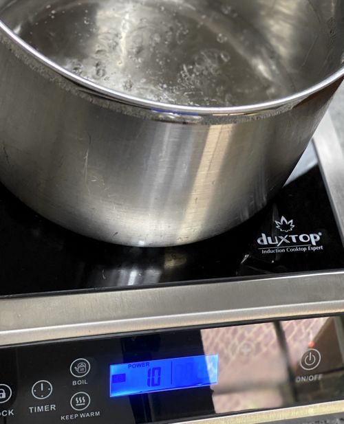 Review: Duxtop Professional Portable Induction Cooktop