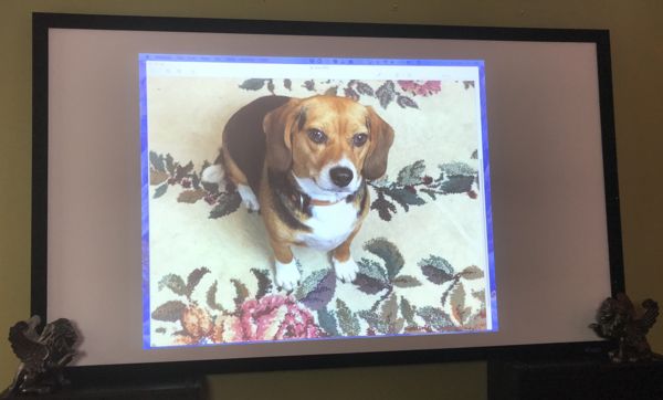 epson_projector_lucy