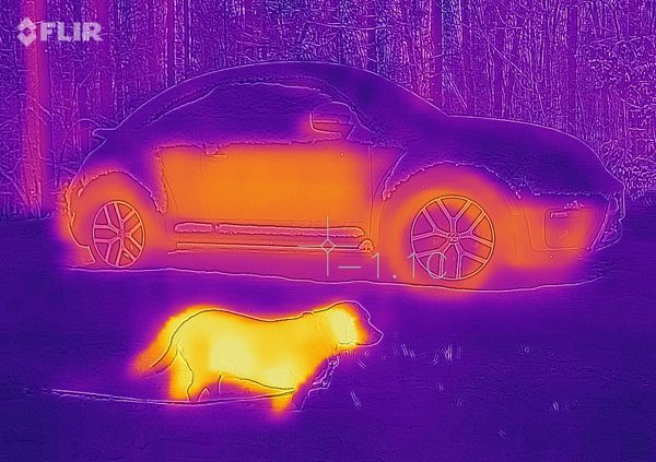 flir_thermal_camera_beagle_beetle