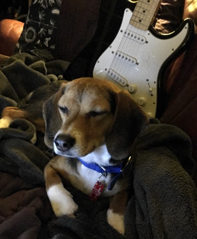 Wife and Puppy Love Rock and Roll