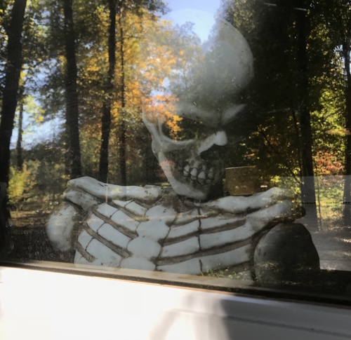 Review: Design Toscano Climbing Skeleton Wall Sculpture